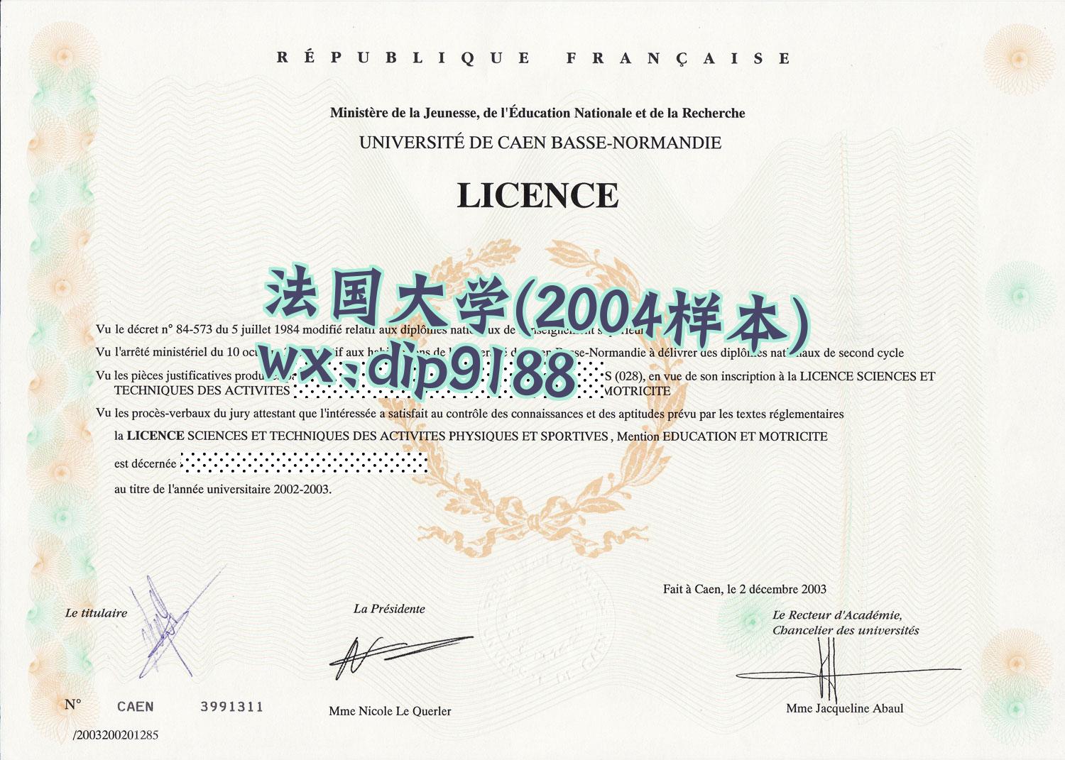 法国大学学历2004毕业证样本图
