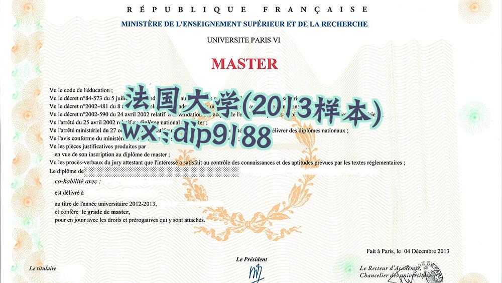 法国大学学历2013毕业证样本图