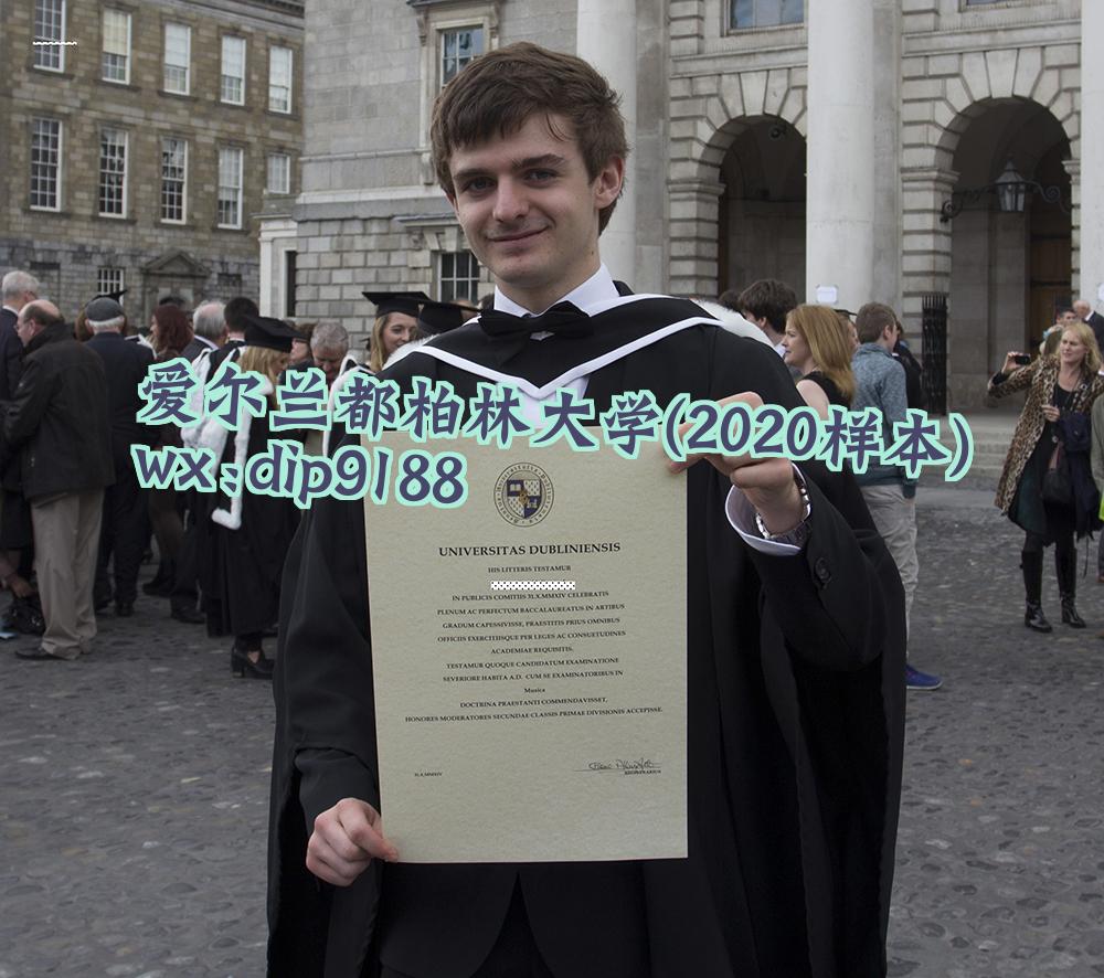 爱尔兰都柏林大学学历2020毕业证样本图片