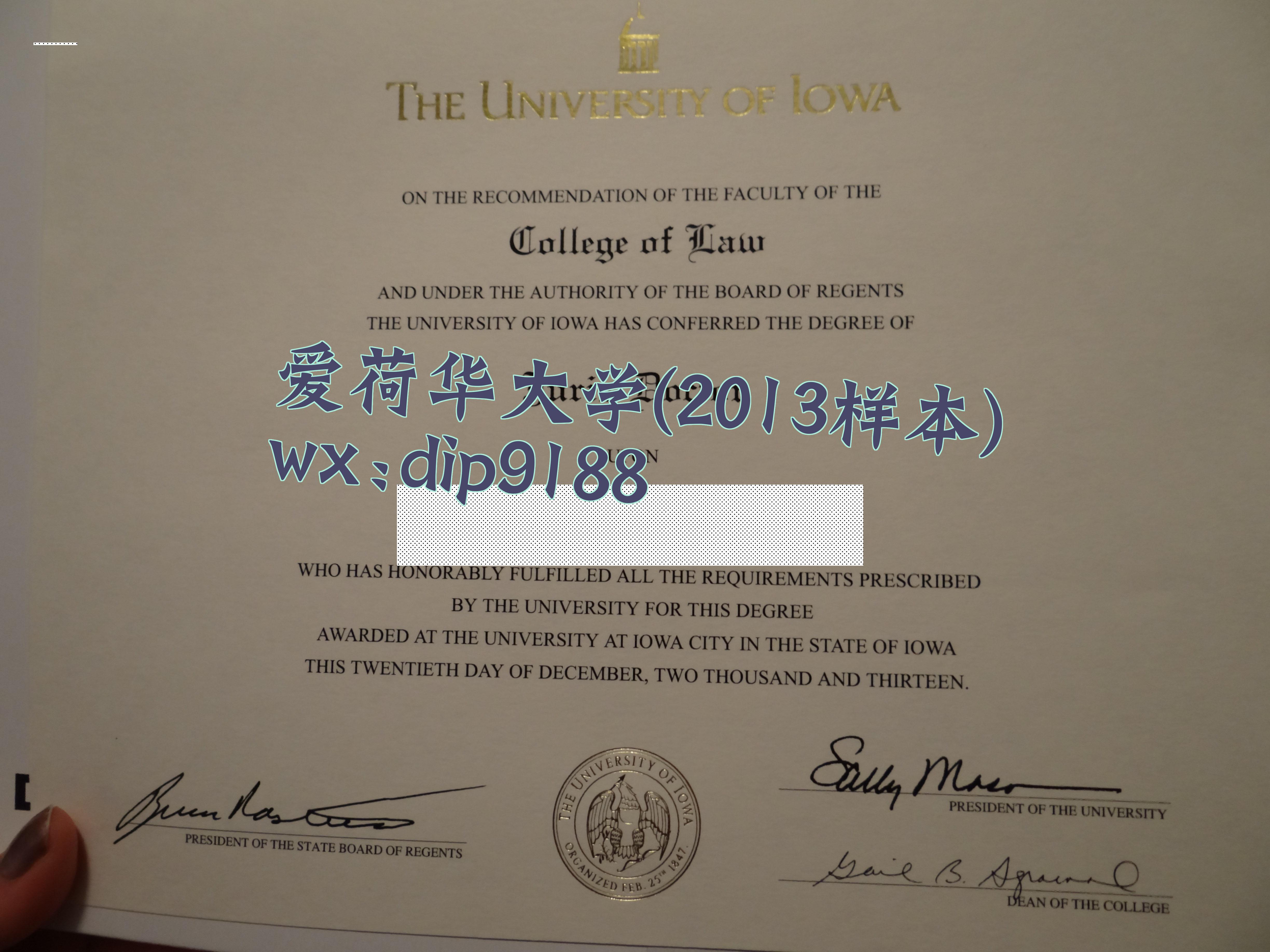 爱荷华大学学历2013毕业证样本图