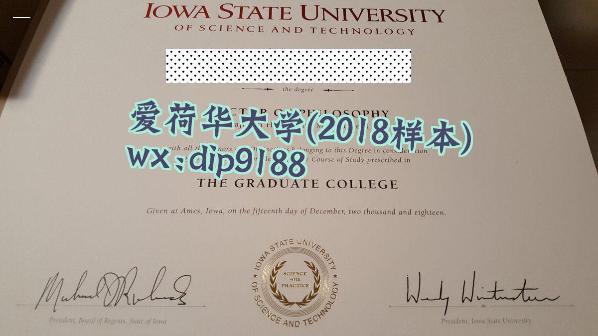 爱荷华大学学历2018毕业证样本图