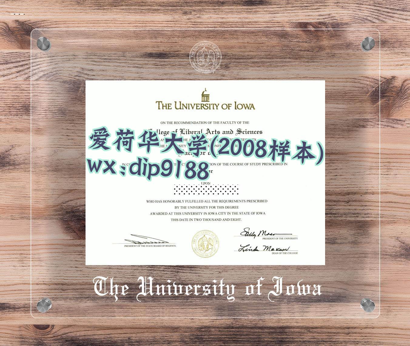 爱荷华大学学历2008毕业证样本图
