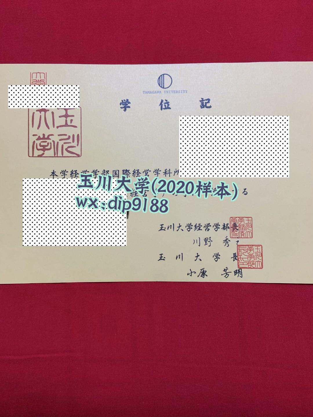 玉川大学学历2020毕业证样本图片