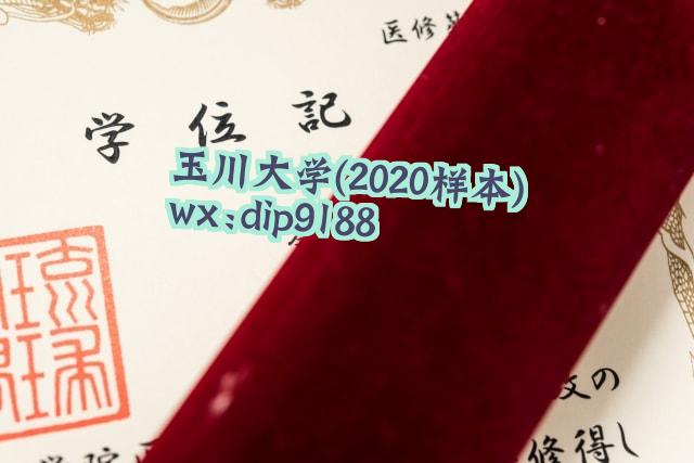 玉川大学学历2020毕业证样本图片