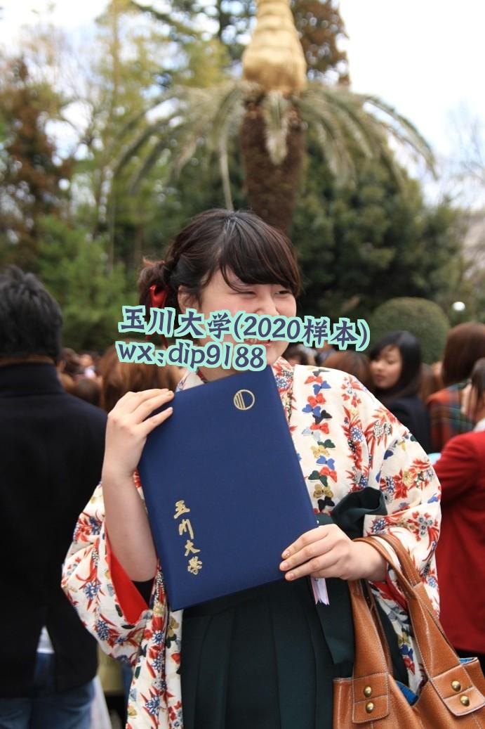 玉川大学学历2020毕业证样本图片