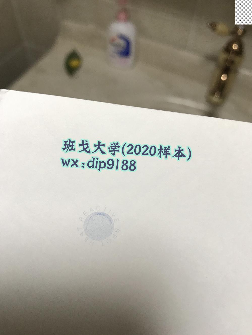 班戈大学学历2020毕业证样本图