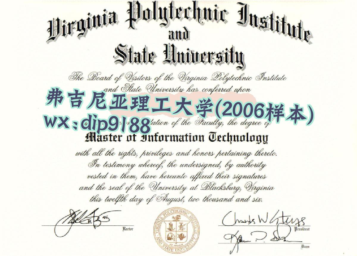 弗吉尼亚理工大学学历2006毕业证样本图