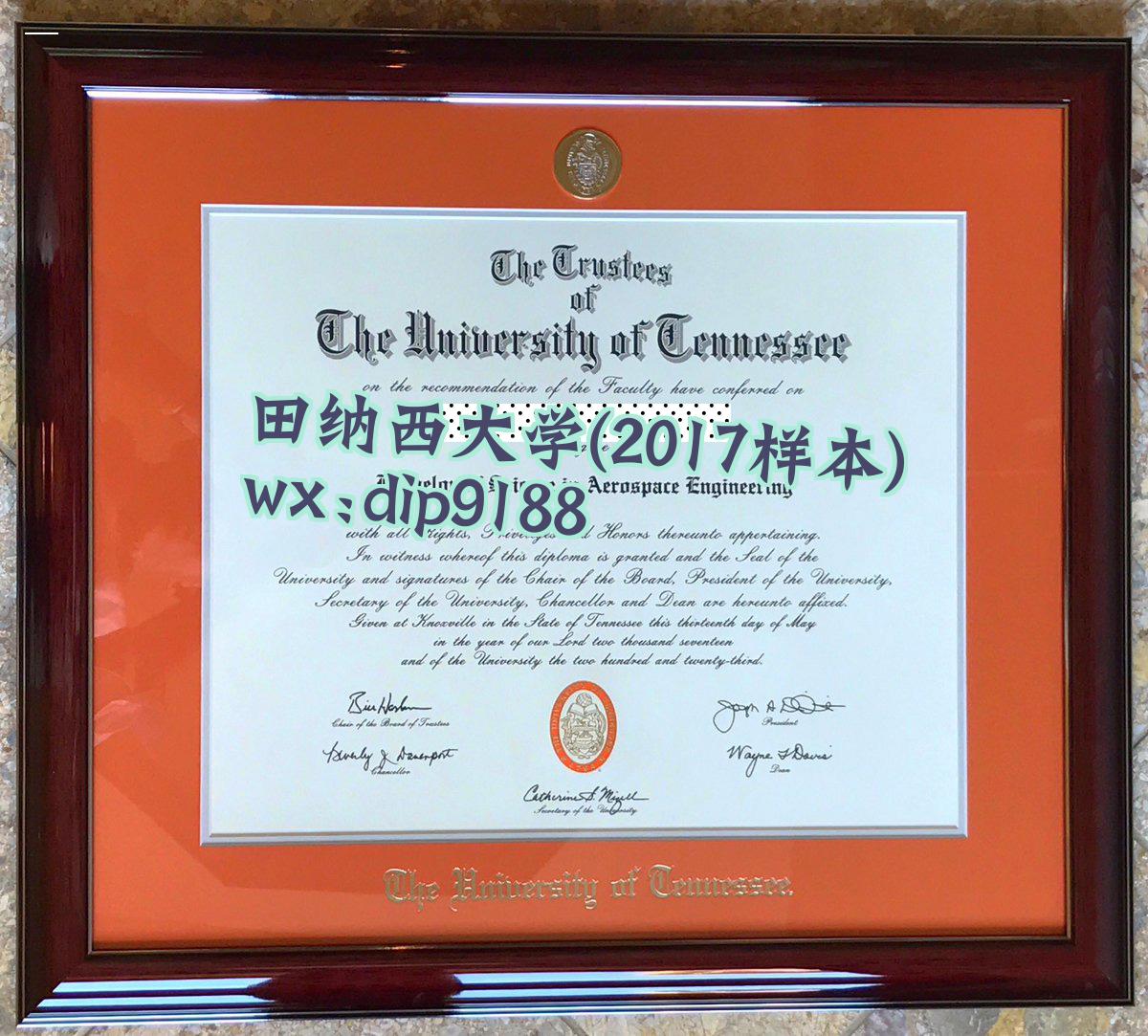 田纳西大学学历2017毕业证样本图