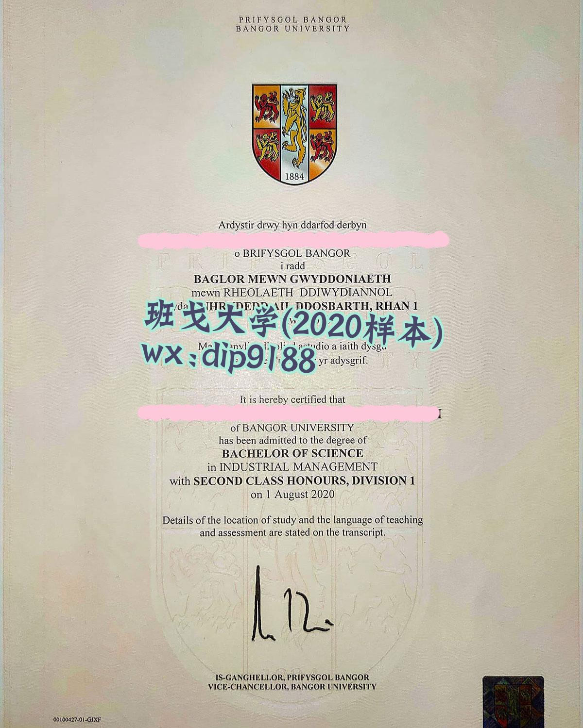 班戈大学学历2020毕业证样本图