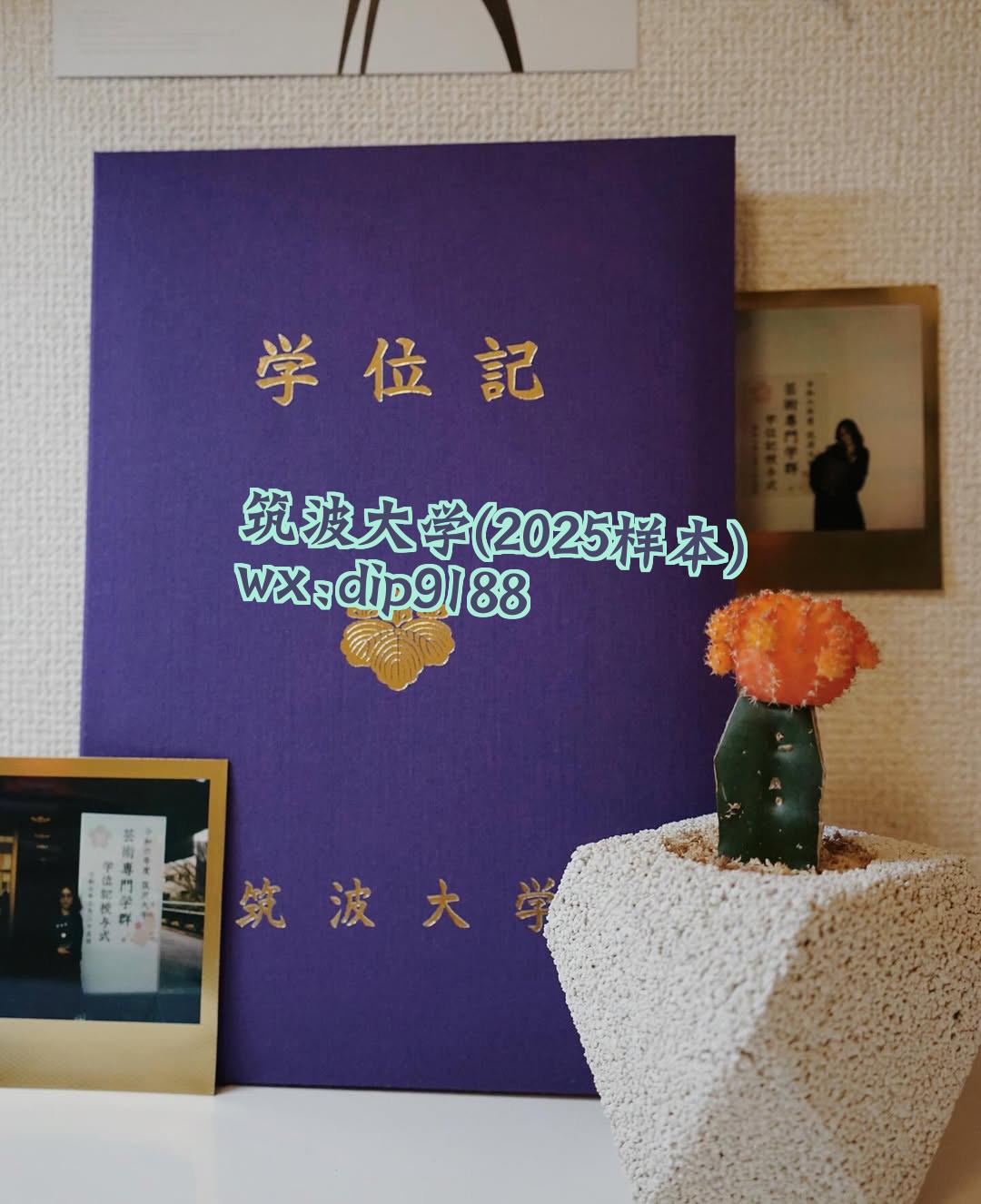 筑波大学学历2025毕业证样本图