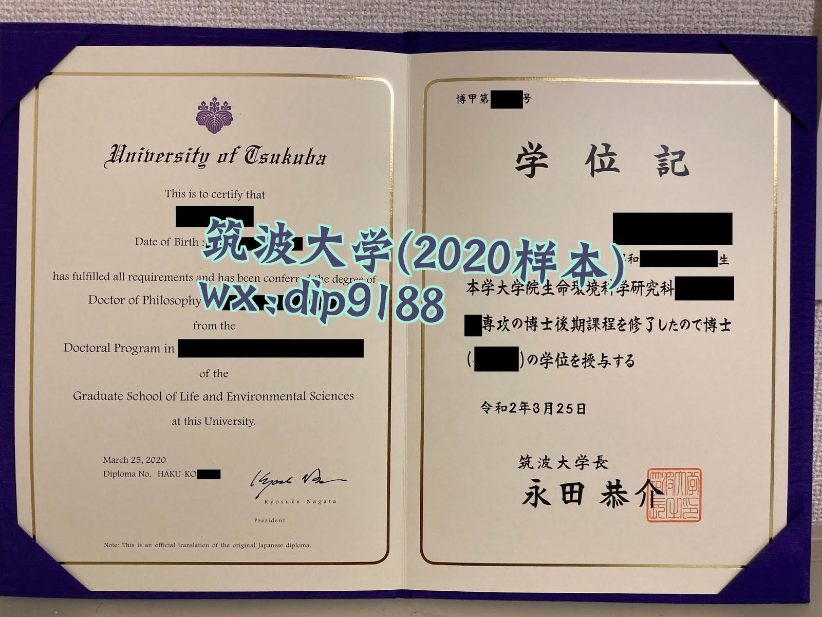 筑波大学学历2020毕业证样本图