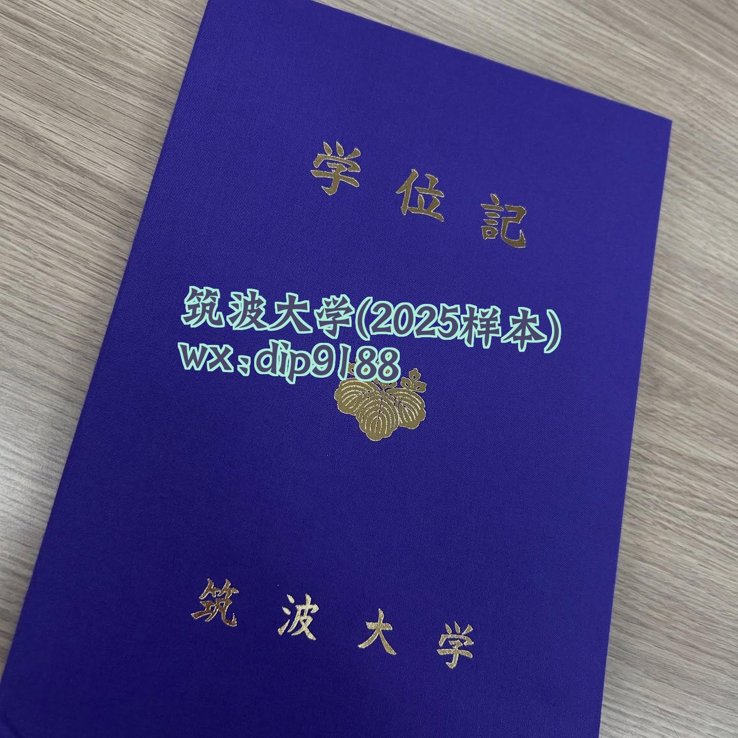 筑波大学学历2025毕业证样本图