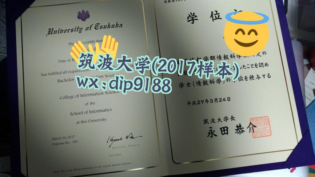 筑波大学学历2017毕业证样本图