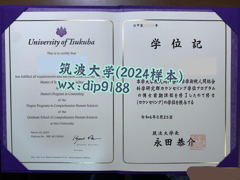 筑波大学学历2024毕业证样本图