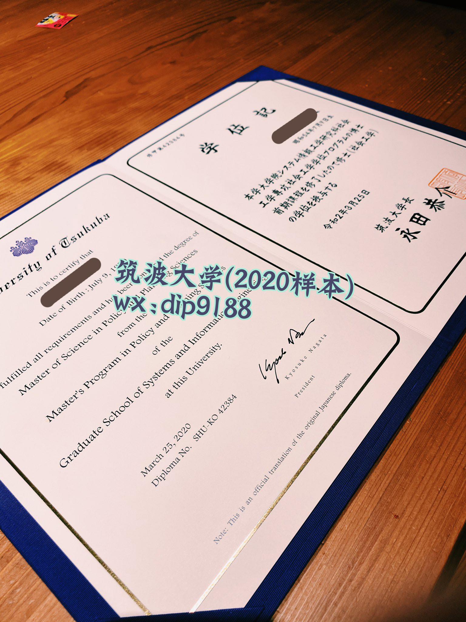 筑波大学学历2020毕业证样本图