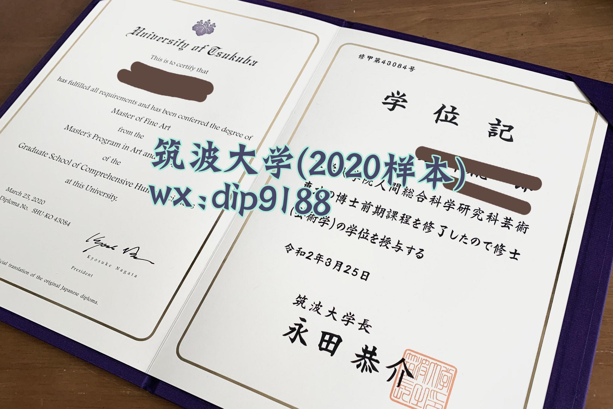 筑波大学学历2020毕业证样本图