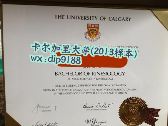 卡尔加里大学学历2013毕业证样本图