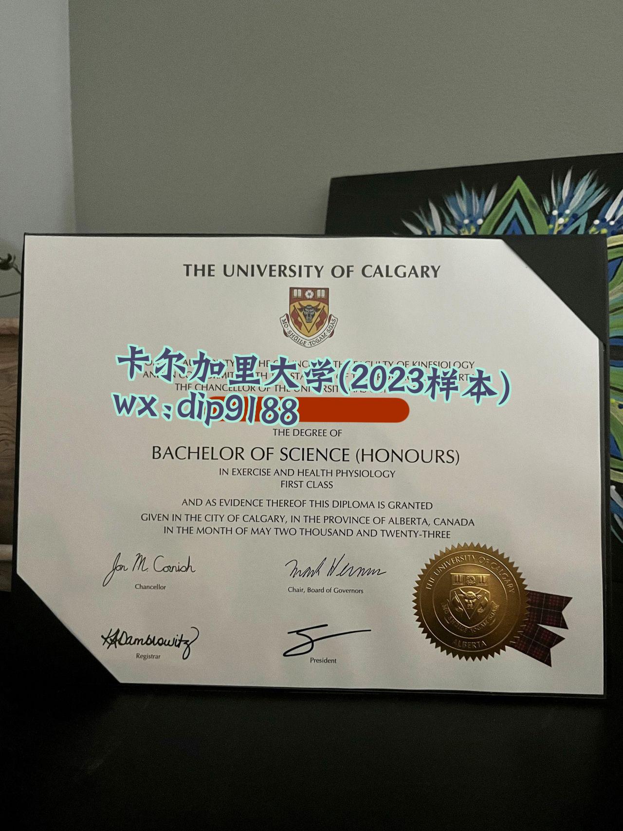 卡尔加里大学学历2023毕业证样本图