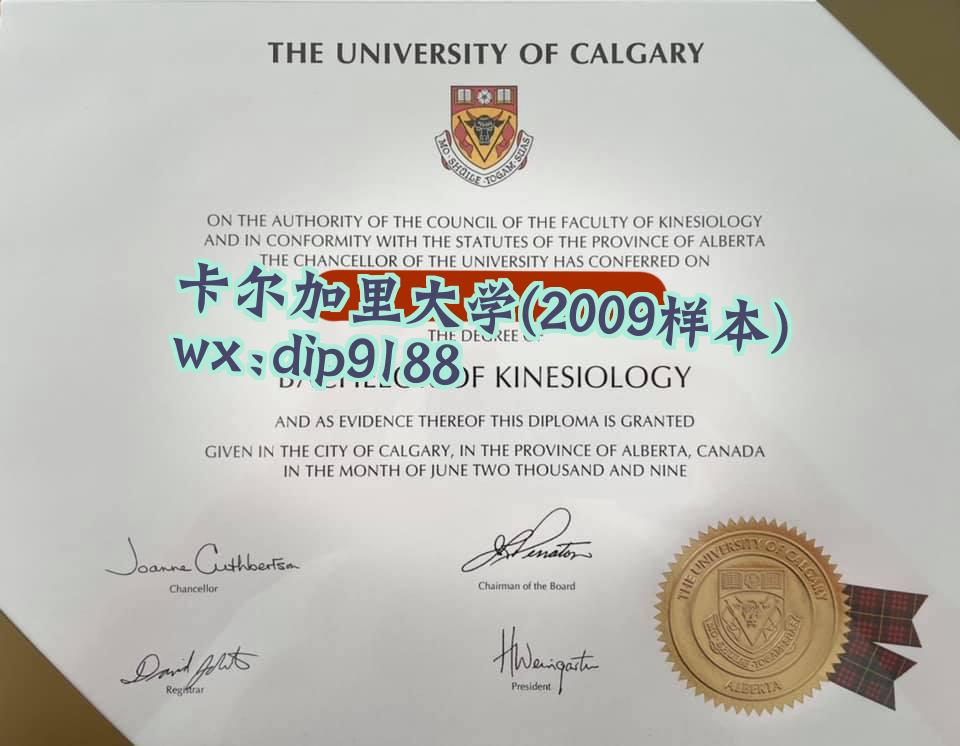 卡尔加里大学学历2009毕业证样本图