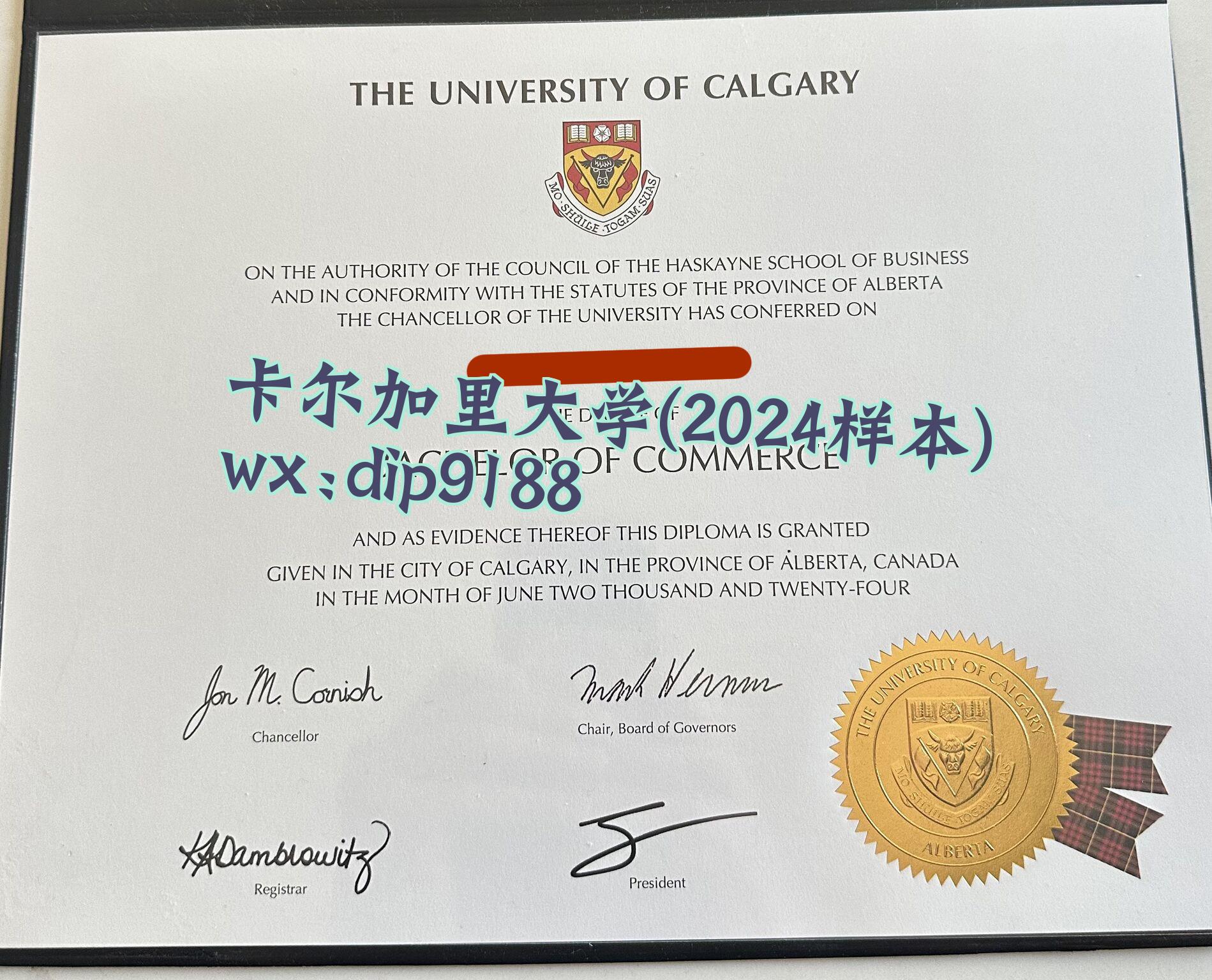 卡尔加里大学学历2024毕业证样本图