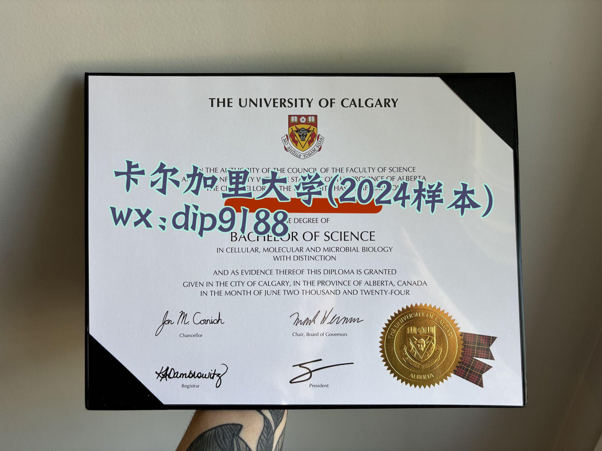 卡尔加里大学学历2024毕业证样本图
