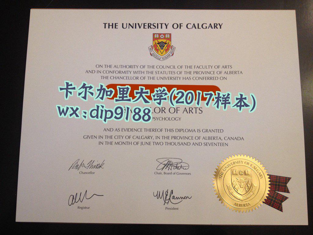 卡尔加里大学学历2017毕业证样本图