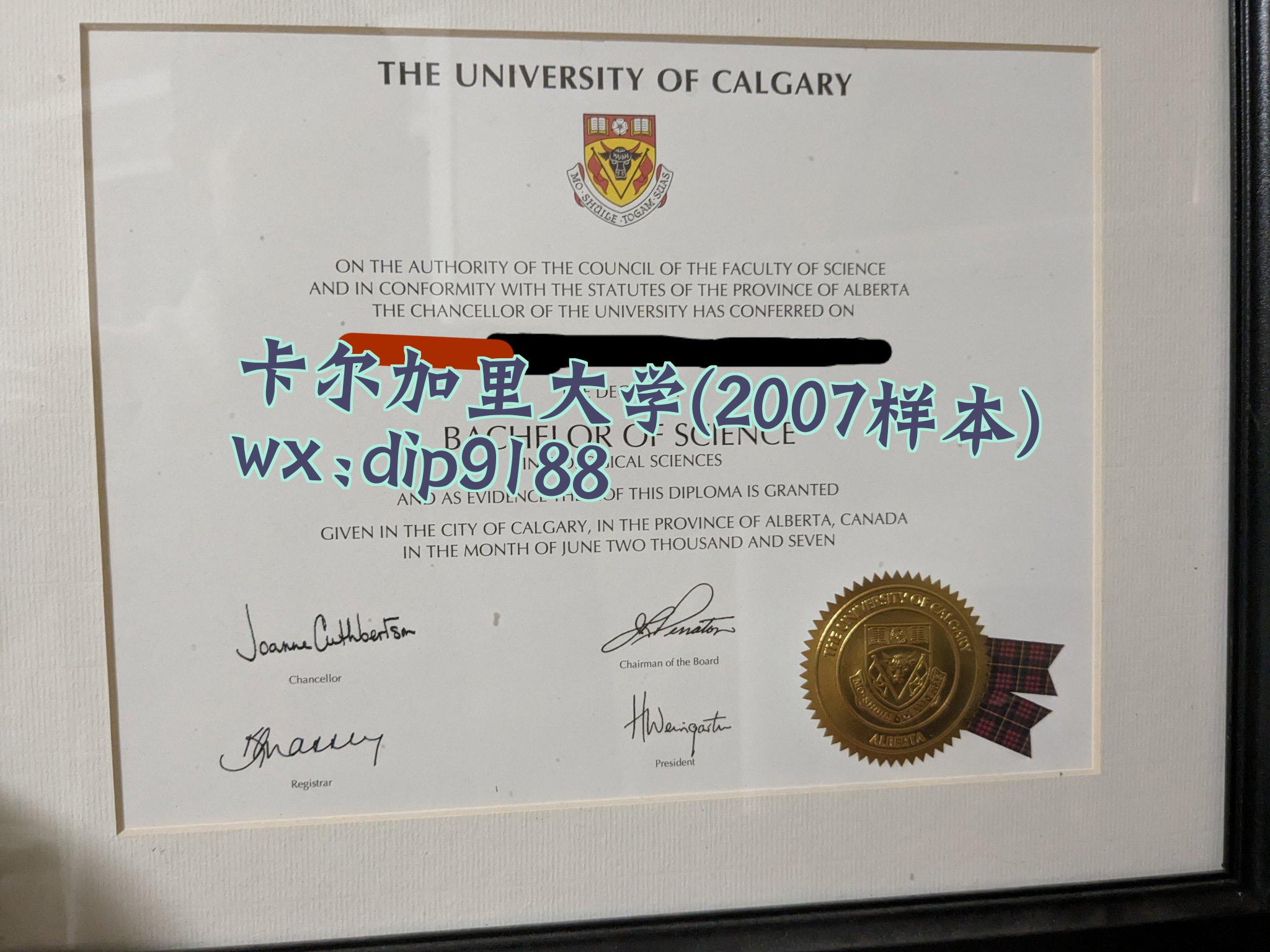 卡尔加里大学学历2007毕业证样本图