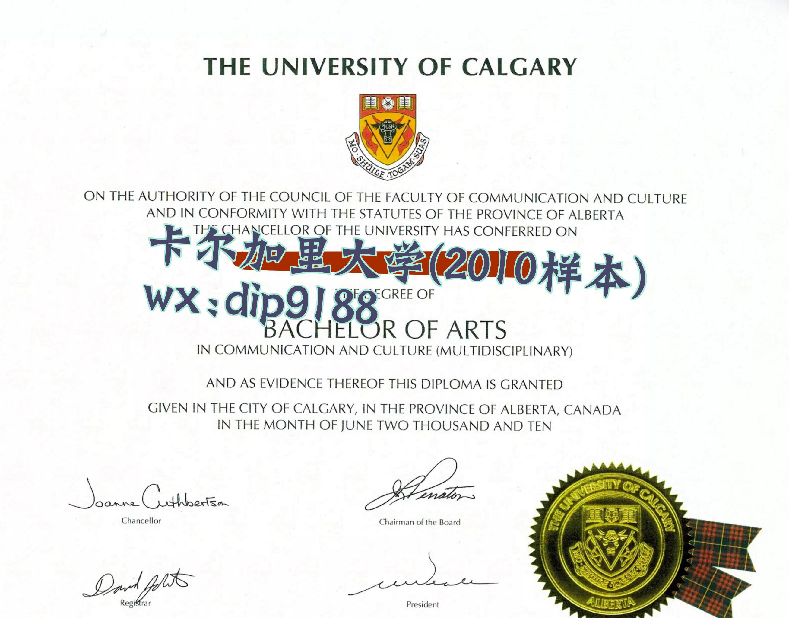 卡尔加里大学学历2010毕业证样本图