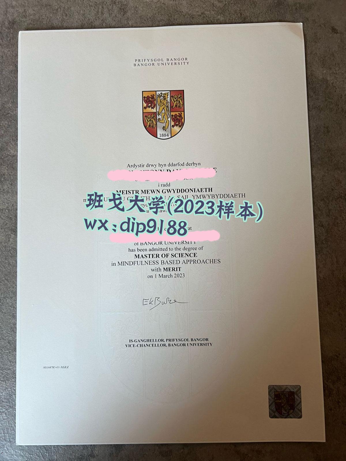 班戈大学学历2023毕业证样本图