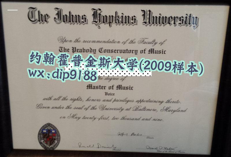 约翰霍普金斯大学学历2009毕业证样本图