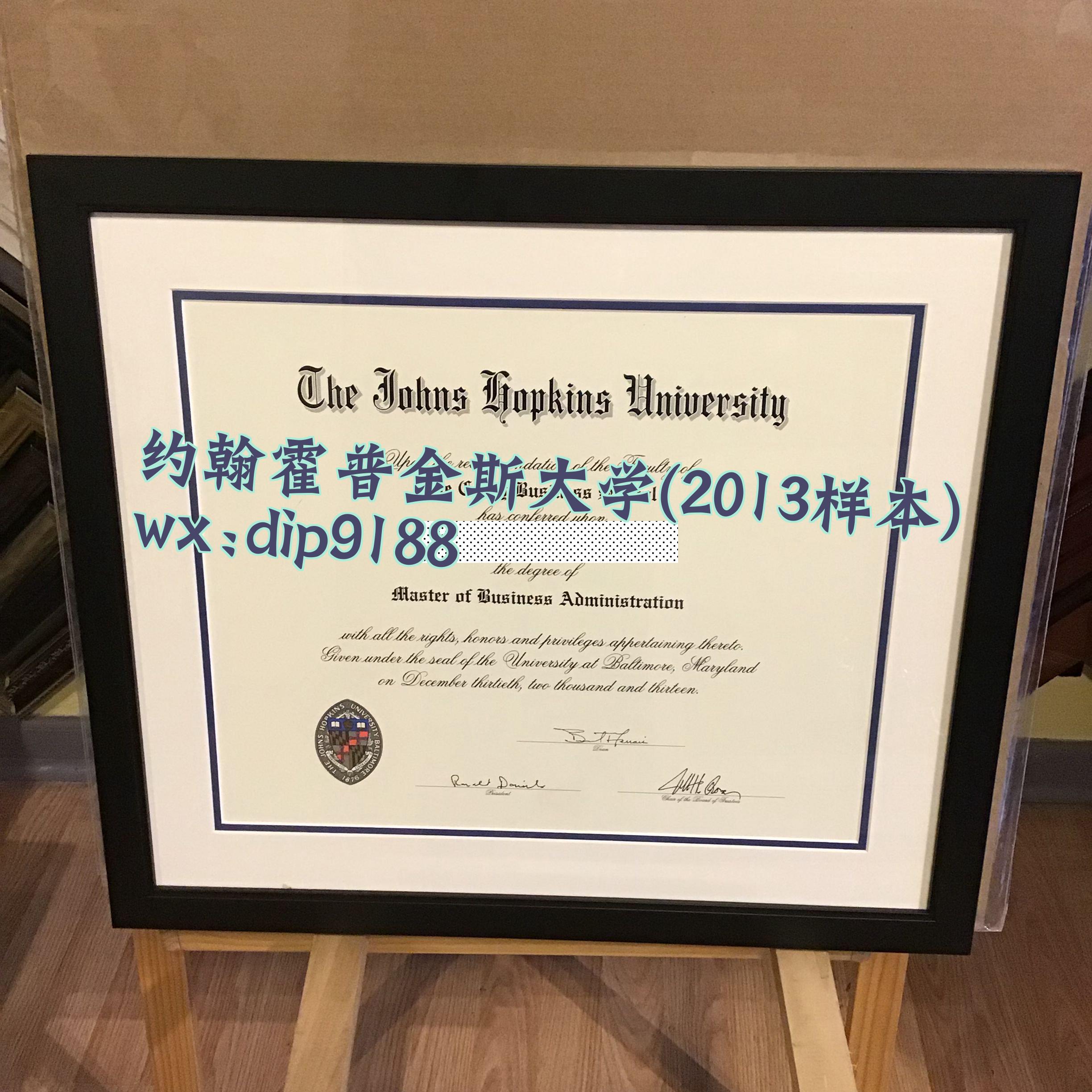 约翰霍普金斯大学学历2013毕业证样本图