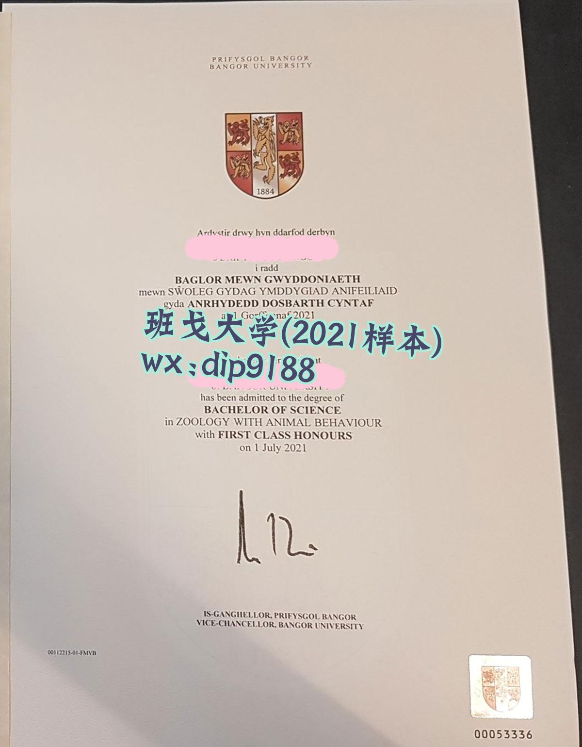 班戈大学学历2021毕业证样本图