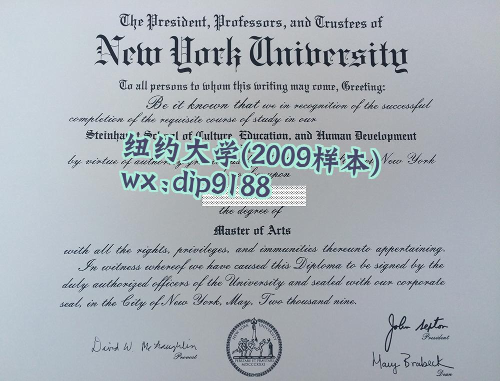 纽约大学学历2009毕业证样本图