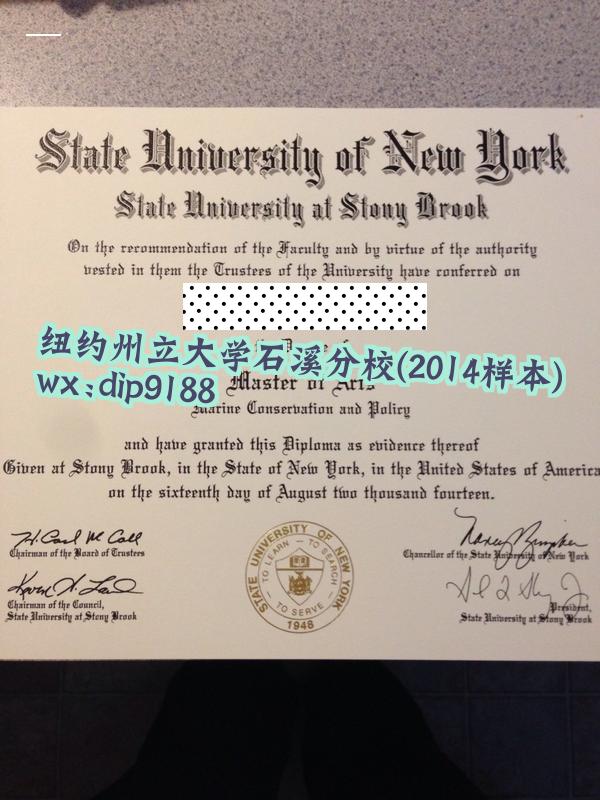 纽约州立大学石溪分校学历2014毕业证样本图