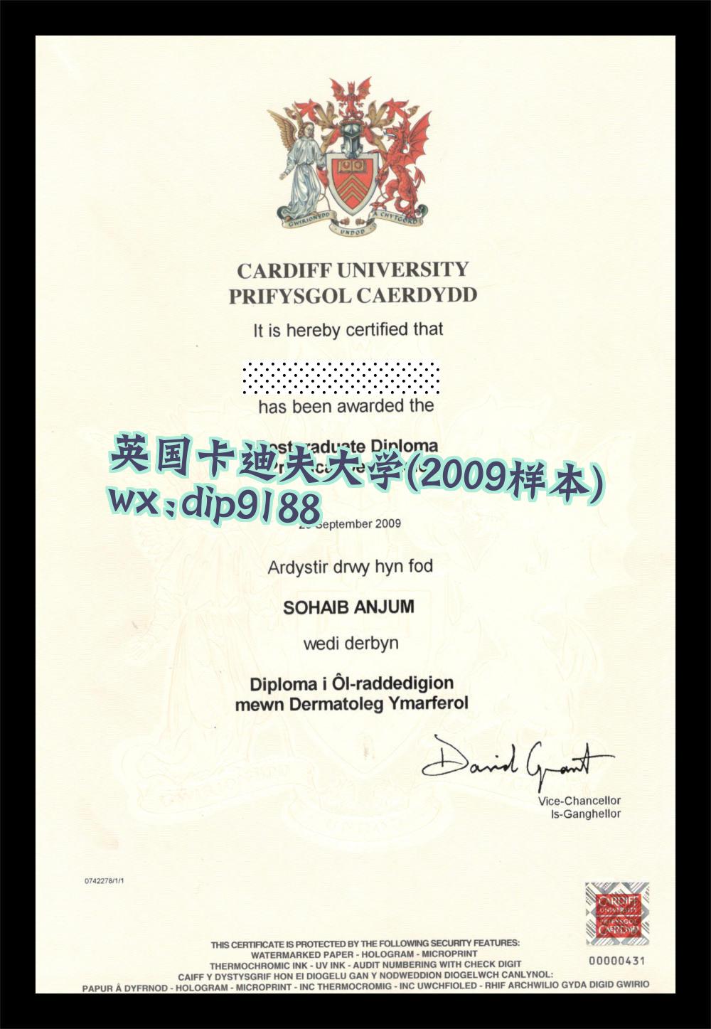 英国卡迪夫大学学历2009毕业证样本图