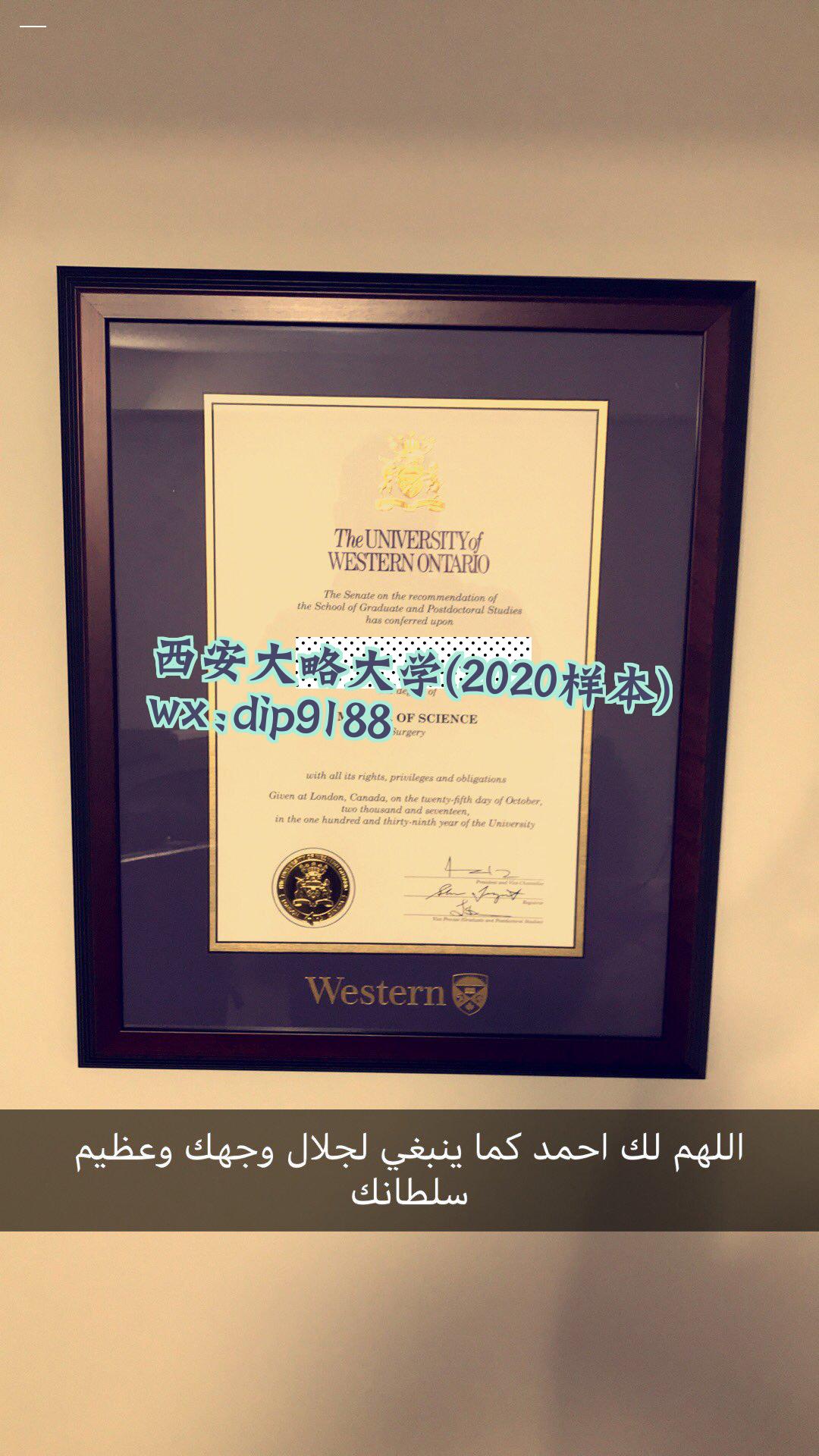 西安大略大学学历2020毕业证样本图