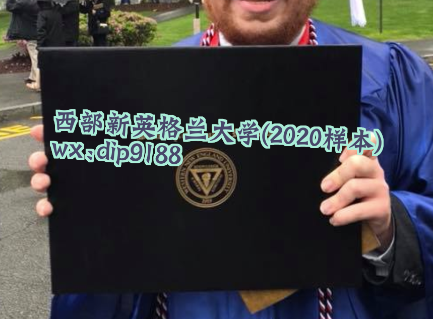 西部新英格兰大学学历2020毕业证样本图