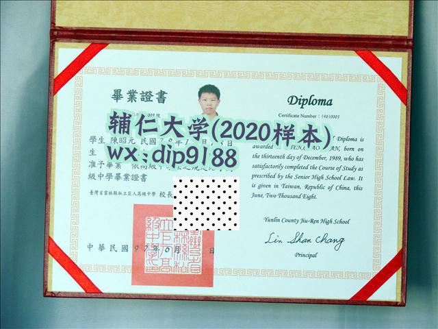 辅仁大学学历2020毕业证样本图片