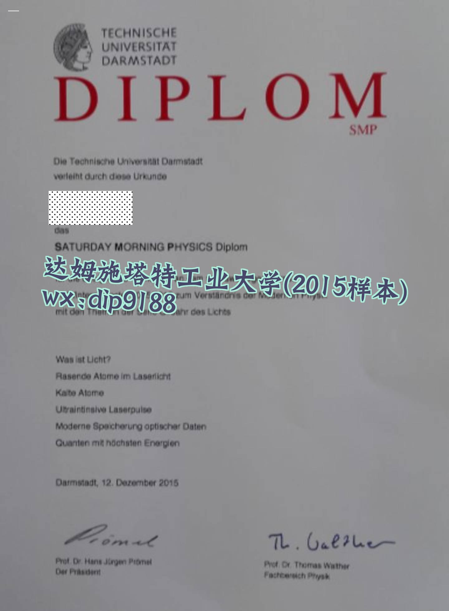 达姆施塔特工业大学学历2015毕业证样本图