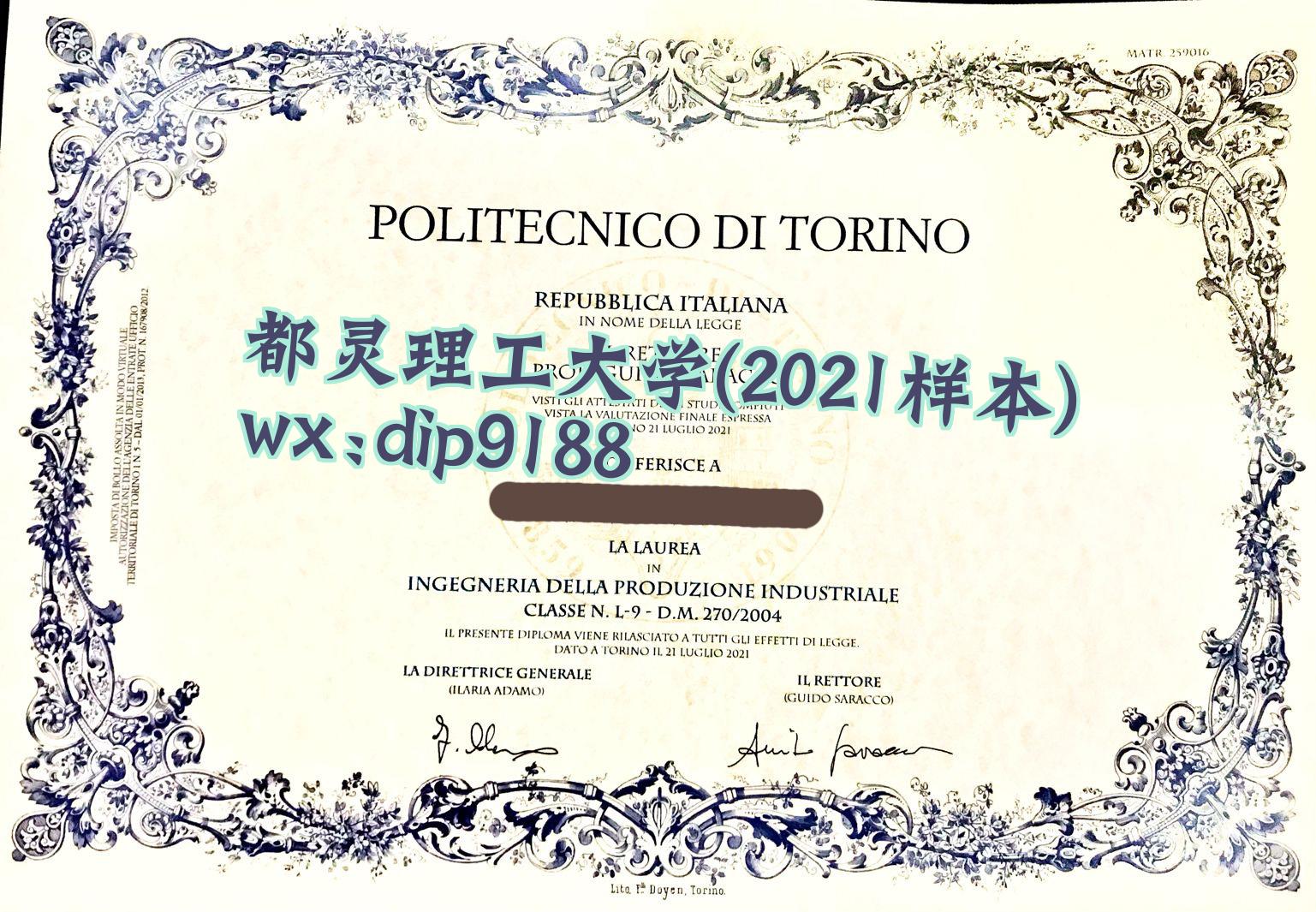 都灵理工大学学历2021毕业证样本图片