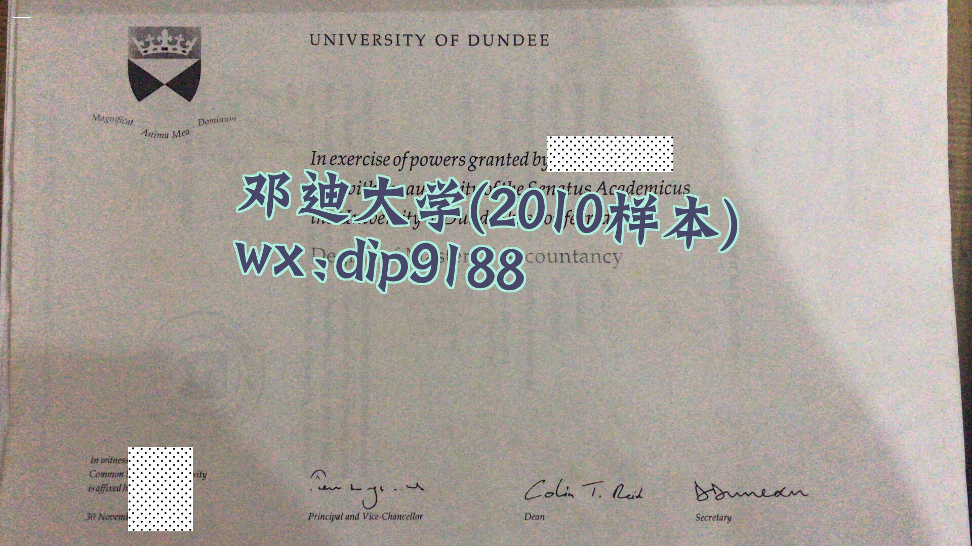 邓迪大学学历2010毕业证样本图
