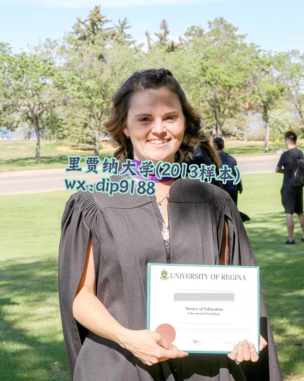 里贾纳大学学历2013毕业证样本图片