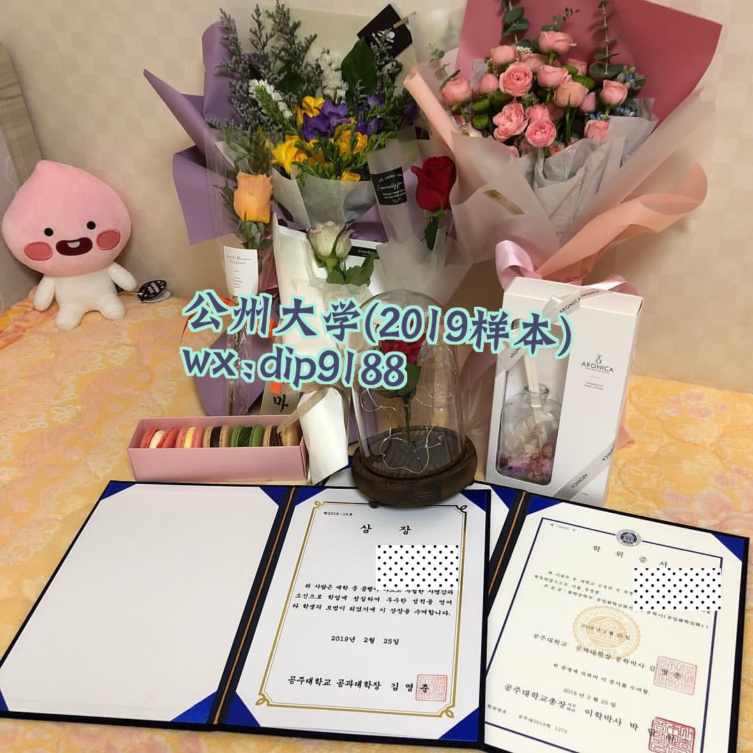 公州大学学历2019毕业证样本图片