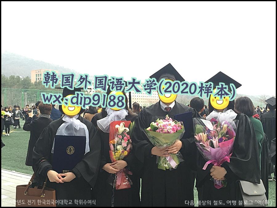 韩国外国语大学学历2020毕业证样本图