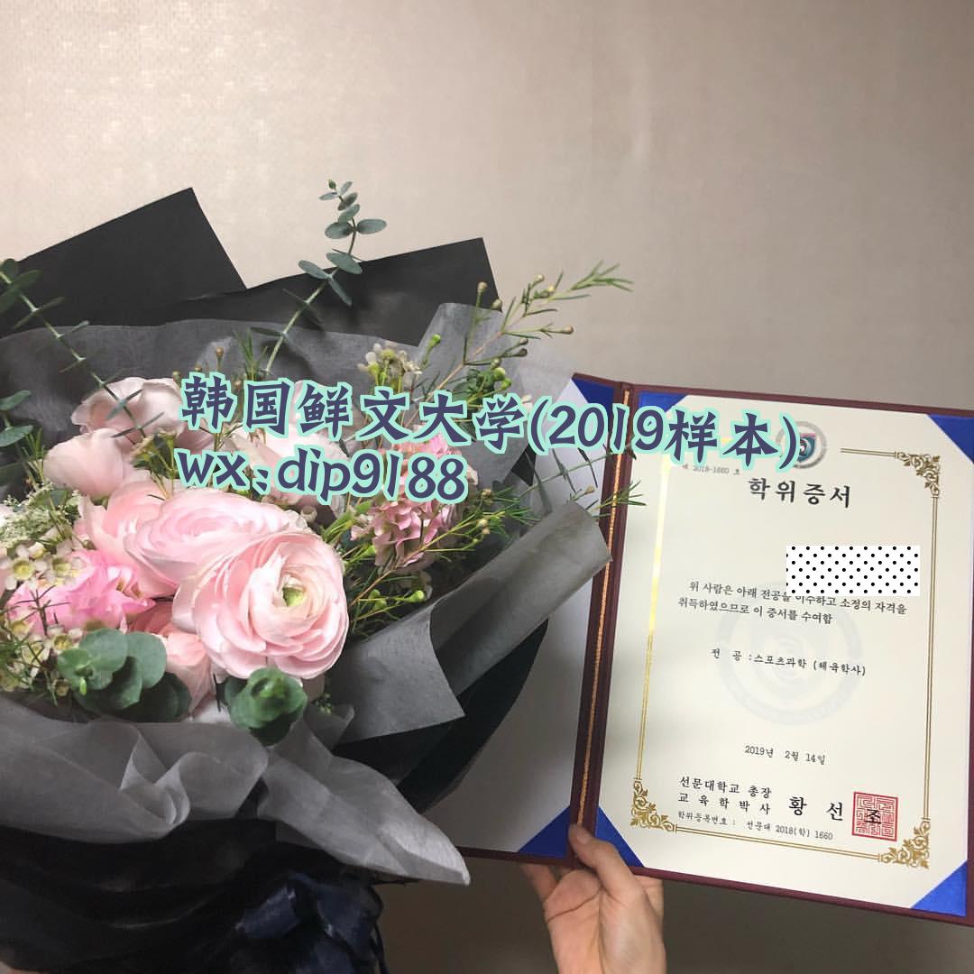 韩国鲜文大学学历2019毕业证样本图