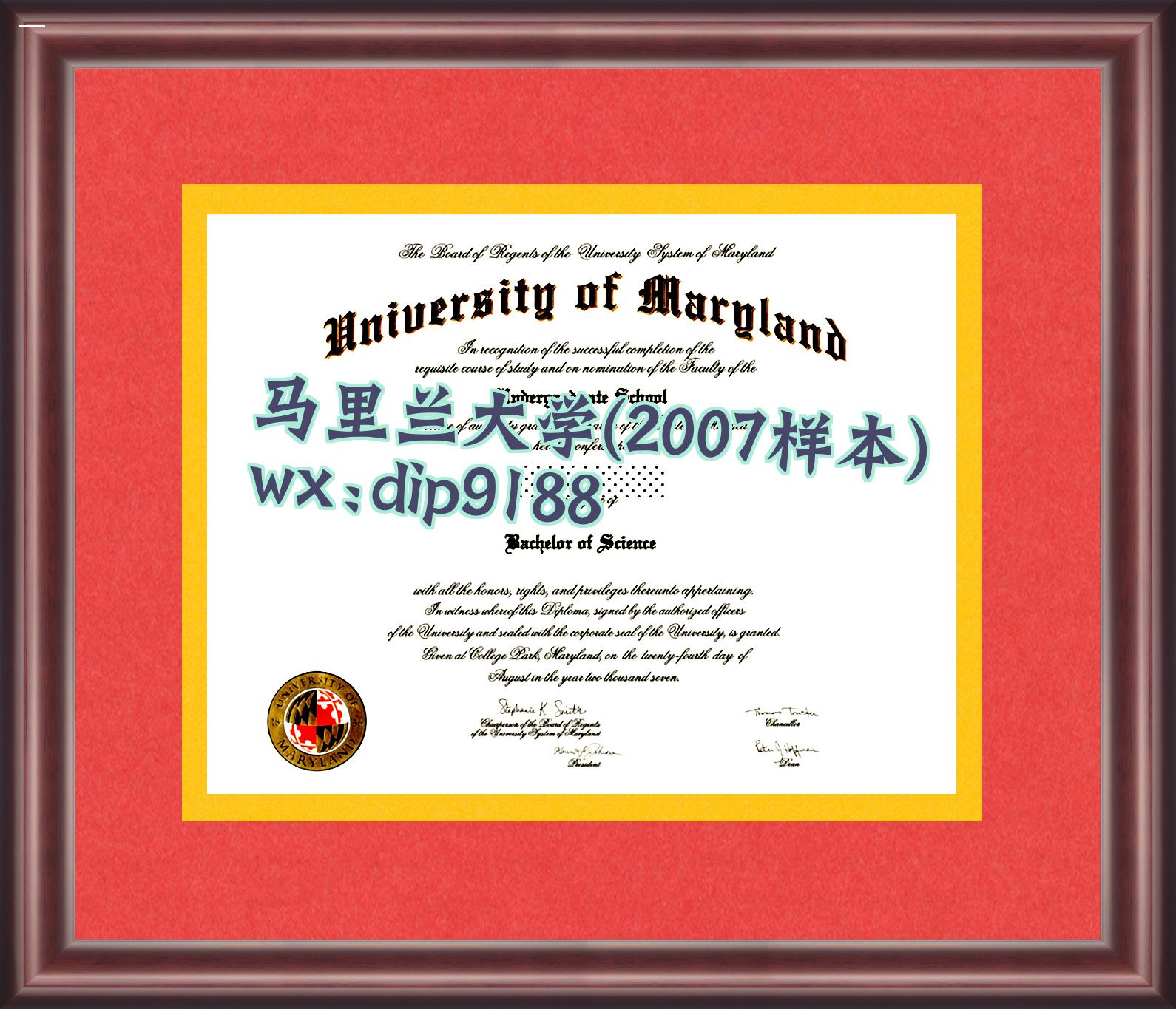 马里兰大学学历2007毕业证样本图