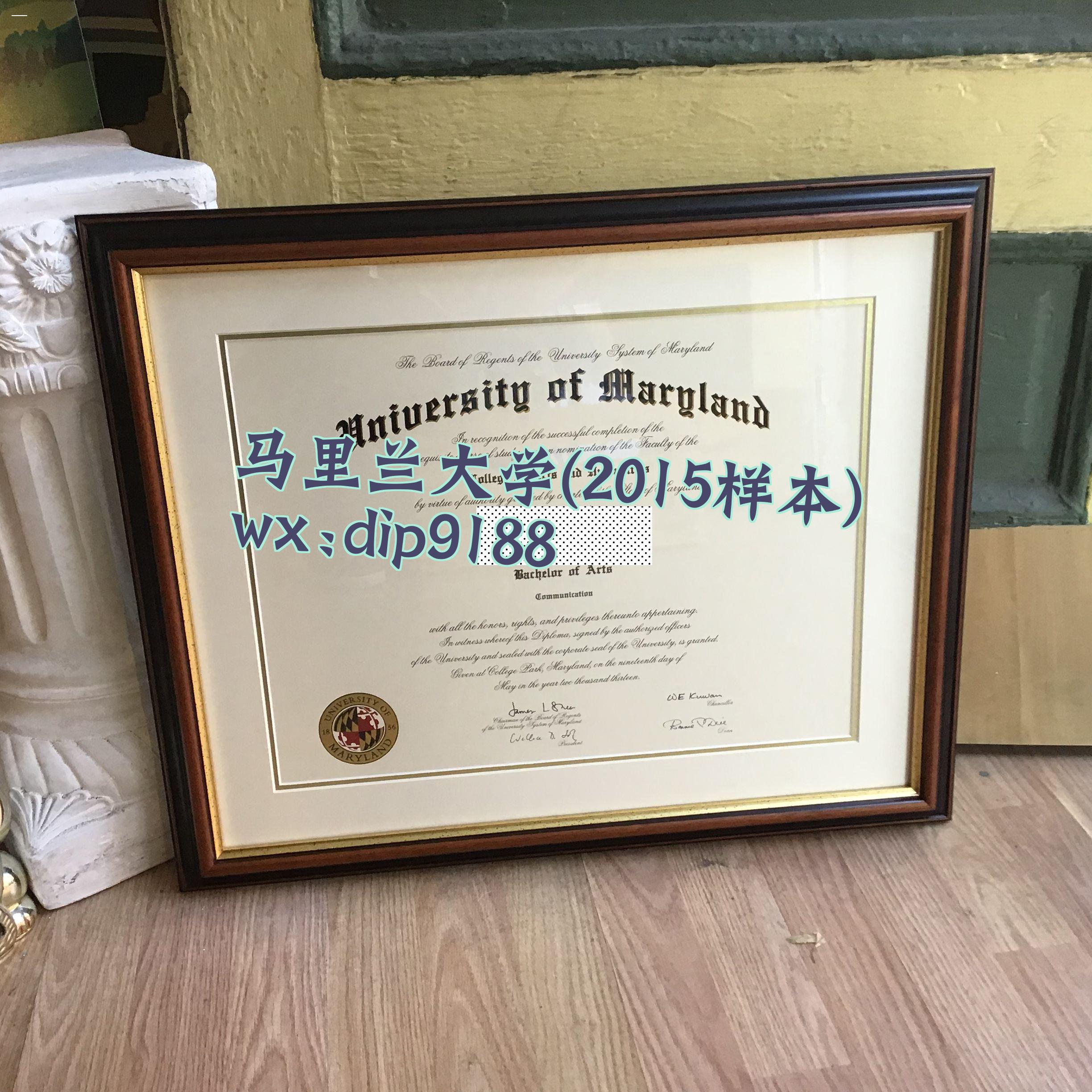 马里兰大学学历2015毕业证样本图片