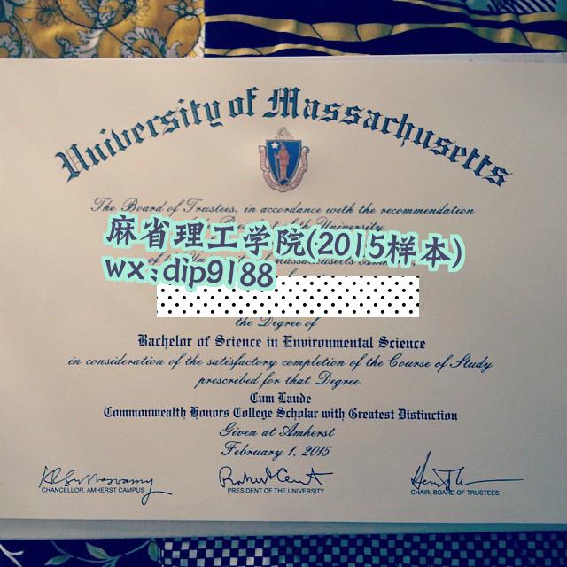 麻省理工学院学历2015毕业证样本图 麻省理工学院学历2015毕业证样本图片