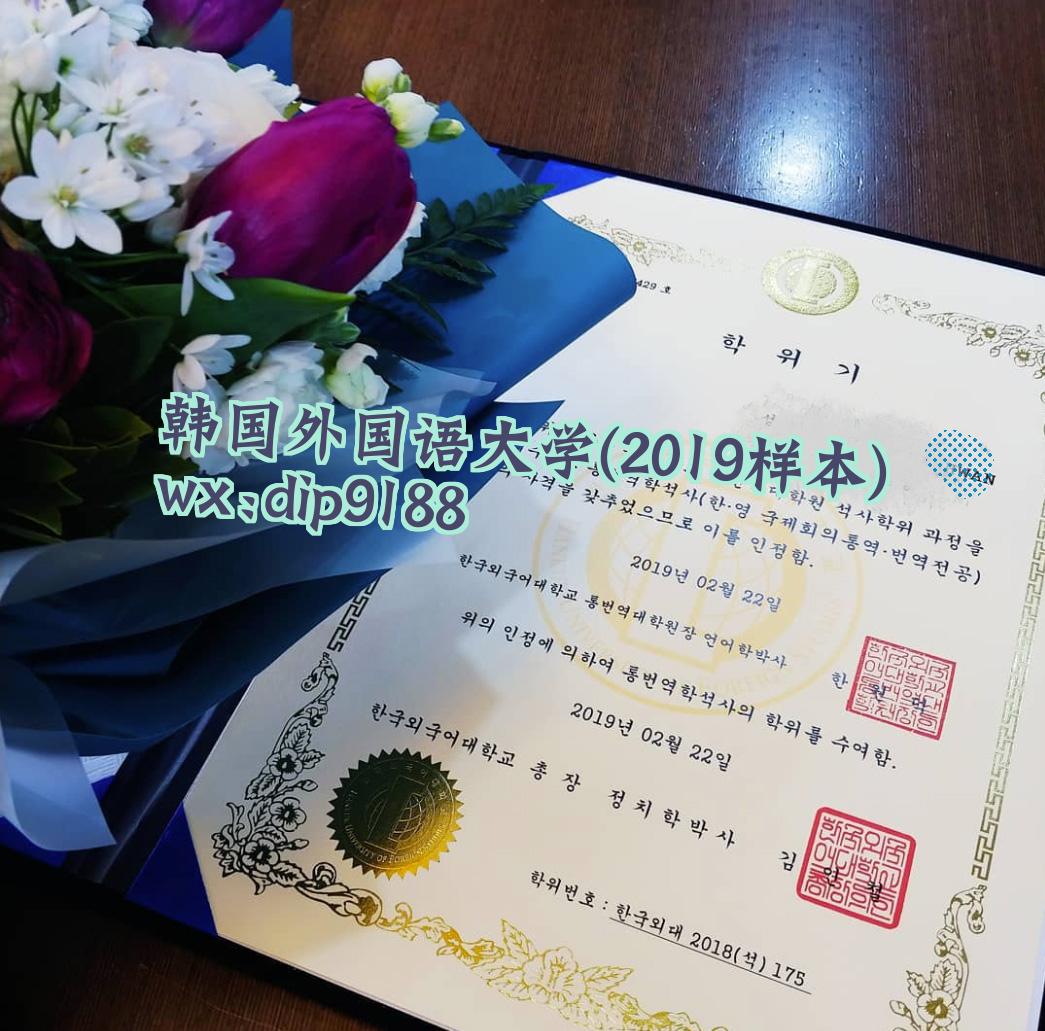 韩国外国语大学学历2019毕业证样本图