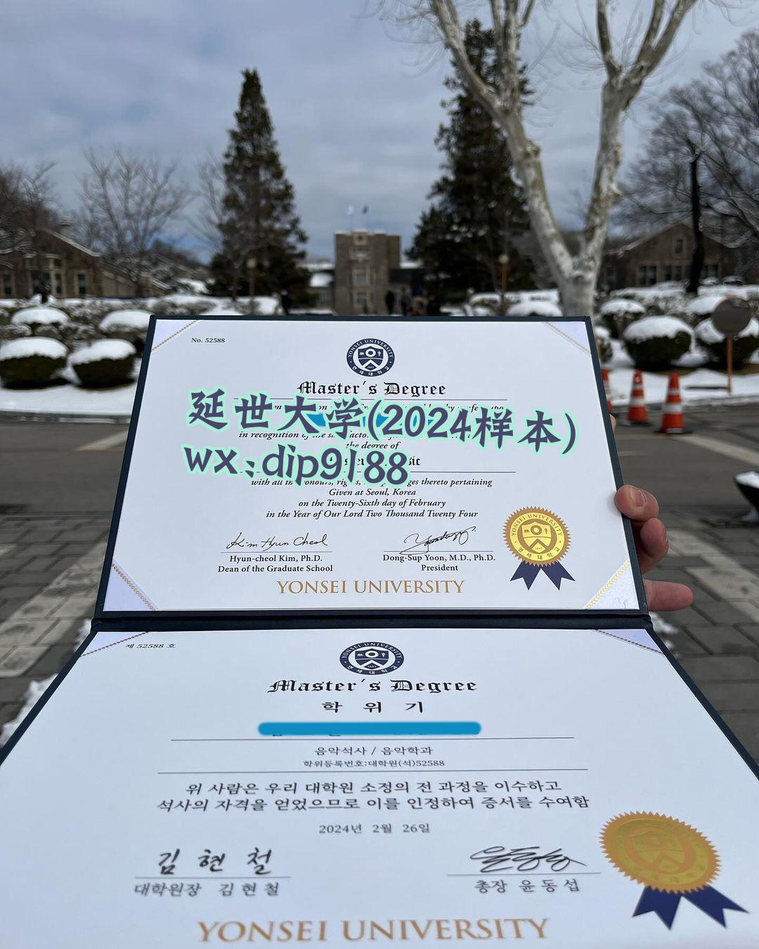 延世大学学历2024毕业证样本图